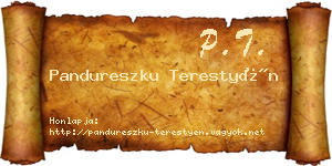 Pandureszku Terestyén névjegykártya